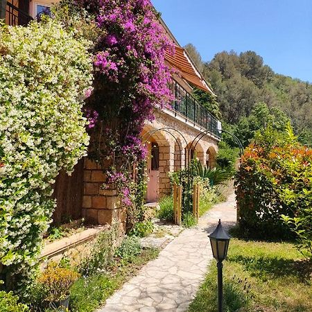 Un Brin De Paille Villa Кан сюр Мер Екстериор снимка