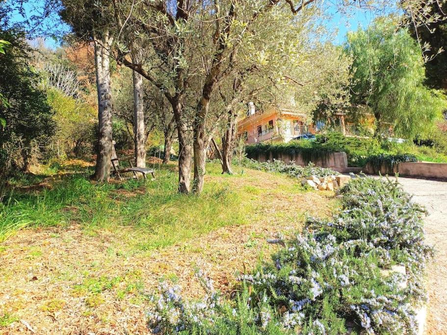 Un Brin De Paille Villa Кан сюр Мер Екстериор снимка